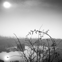 MX1 - Darklight