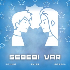 Sebebi Var