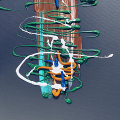 parajas-006