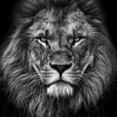 Bible Rap - Psalm 57 - Beat prod by Mercy$