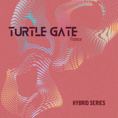 Abyssaï | Turtle Gate