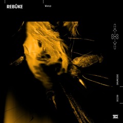 Rebūke - Clarity - Drumcode - DC239