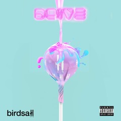 Birdsałl - Drive