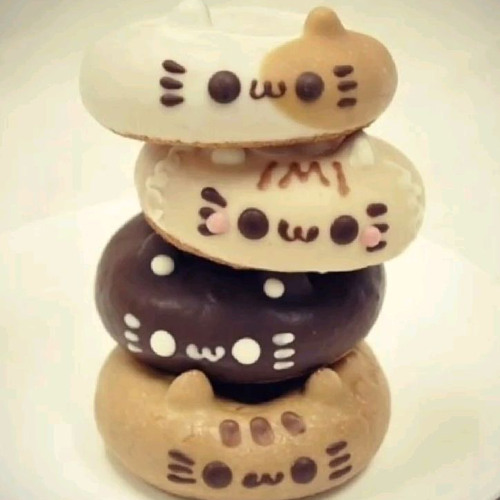 專屬小貓 ♪ #diaryplugg (1vansolo)
