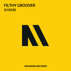 Filthy Groover (Original Mix)