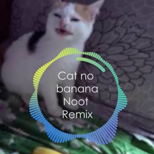 Stream Cat No Banana Noot Remix by Noot Listen online for free on
