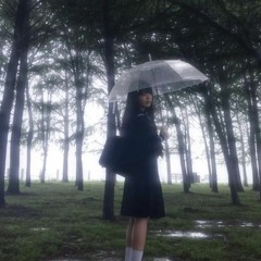 so scrd ;x