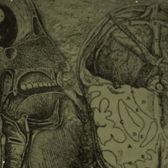 FM001
