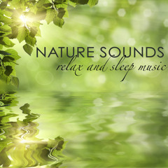 Cave (Relaxing Sounds)