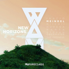 Premiere: Meindel - The Calm of My Soul [WAYU Records]