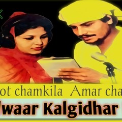 Talwaar main kalgidhar di