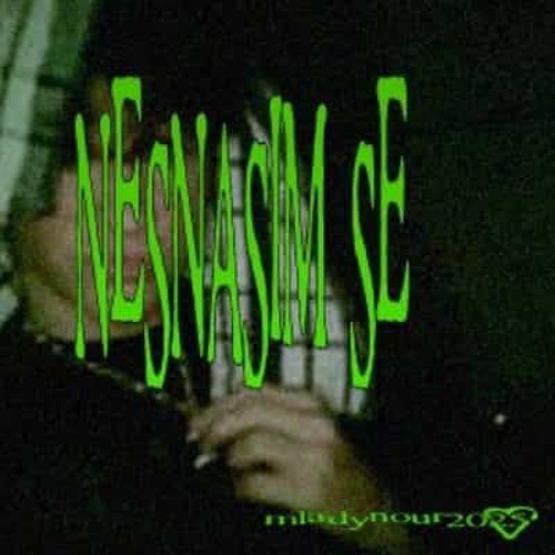 NESNASIM SE v2