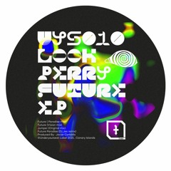 PREMIERE: Look Perry - Future (Vision Mix) [underyourseat]