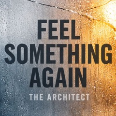 Feel Something Again
