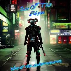 Way Of The Cyber-Samurai