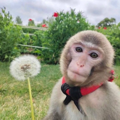 Freestyle #007: Jungle/DNB