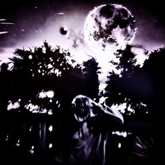 the night [MV in desc.]