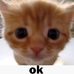 OK! (prod. 10rxckz x rexv2)