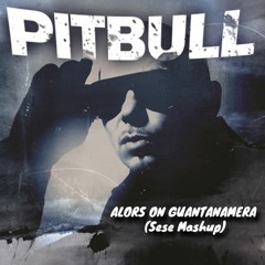 Pitbull vs. Stromae - Alors On Guantanamera (Sese Afro Mashup) [FREE DL]