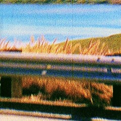 flusher - on them [ilydenii]