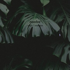 Needze - Coaja (Toulouse Rework)