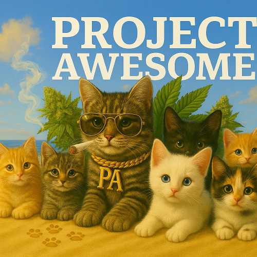 Project Awesome- Summer Breeze club mix01