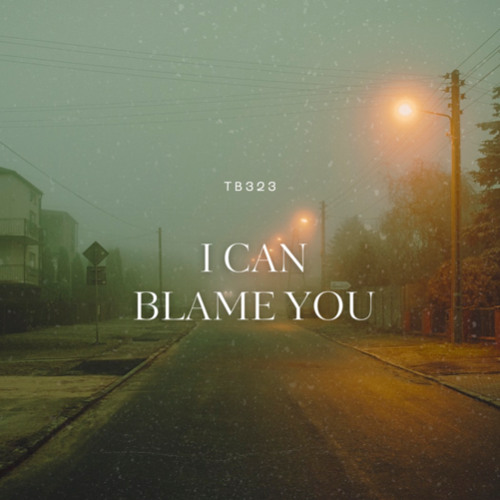 I CAN BLAME YOU