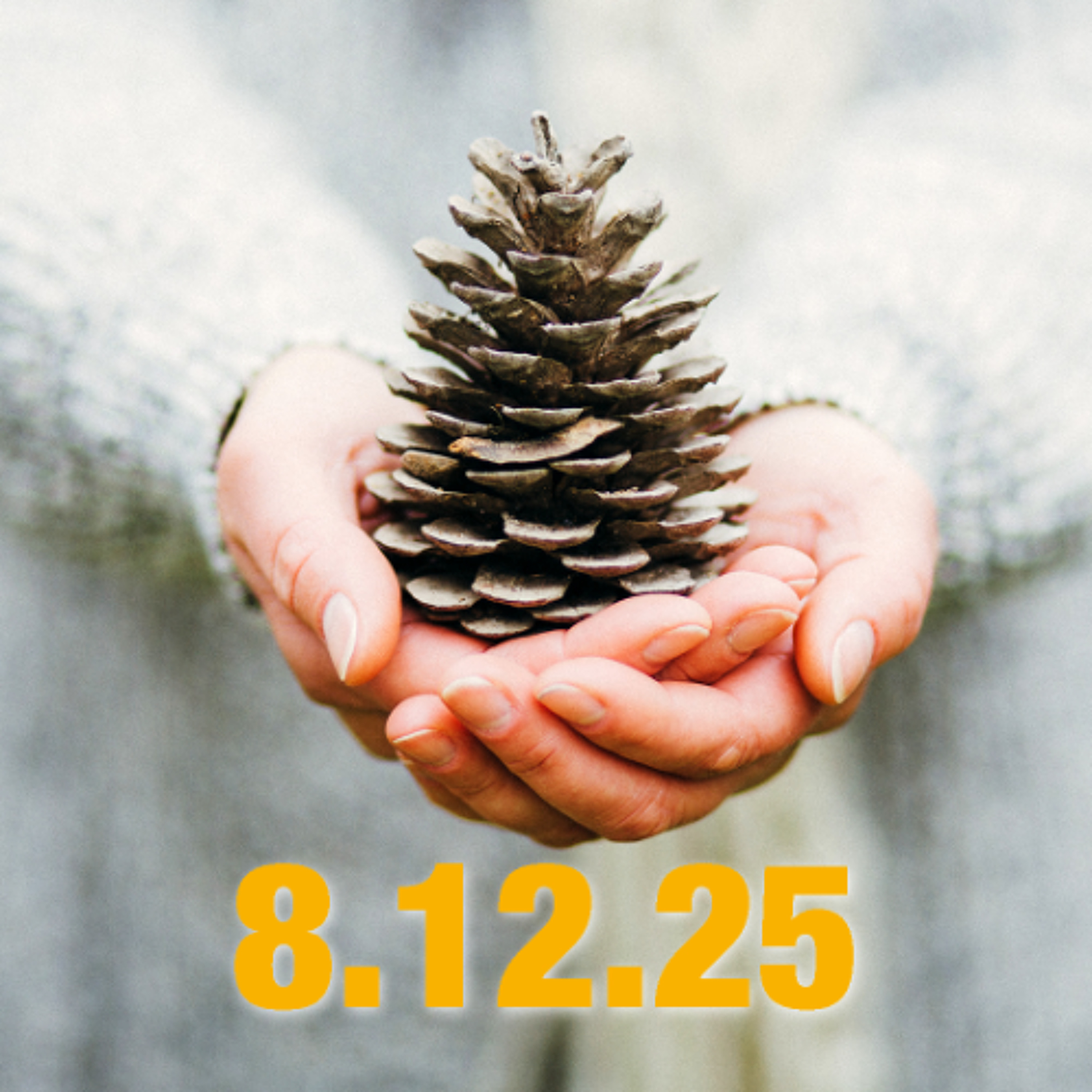 Fasst neue Hoffnung! – Adventsimpuls zum 8. Dezember 2025 episode artwork
