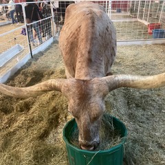 Funky Drummer And Guitar