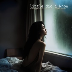 Little did I know (feat. Frank Zozky)