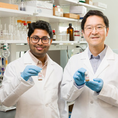 Plastic from plants: FAMU-FSU College of Engineering professor uses material in plant cell walls to make versatile polymer