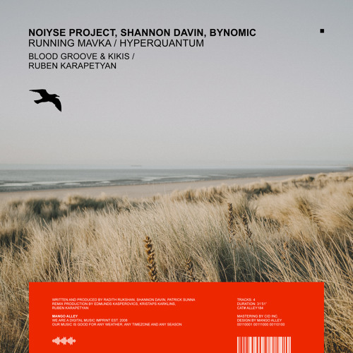 Premiere: NOIYSE PROJECT, Bynomic - Hyperquantum (Ruben Karapetyan Remix) [Mango Alley]
