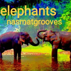 elephants
