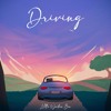 Download Video: Driving