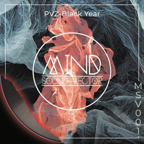 PVZ - BLACK YEAR (Original Mix)