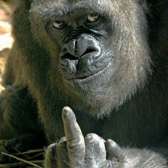 Willy D X Bauer - We Don't Give A FUCK (Prod. Starfish Deathsquad)