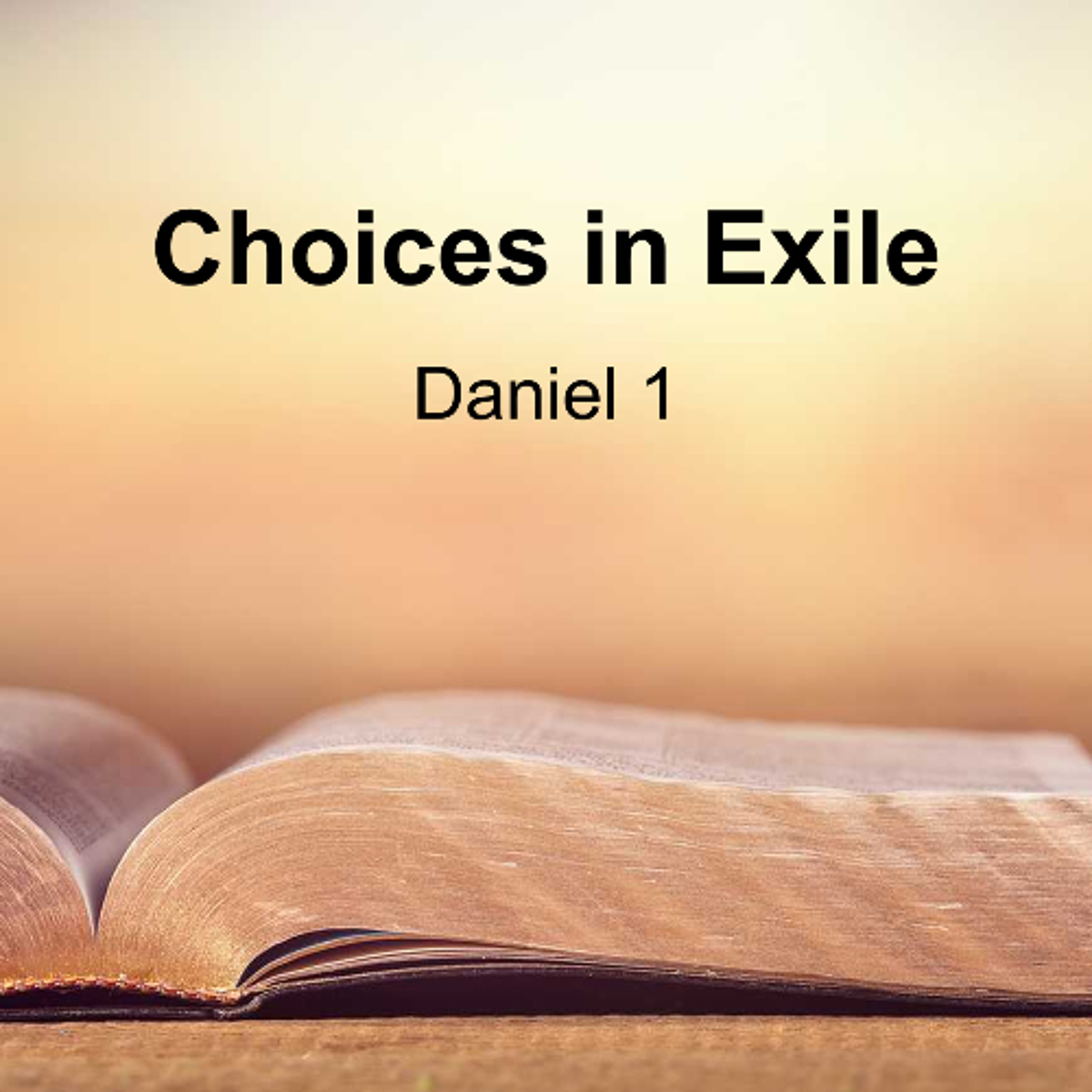 Choices in Exile episode artwork