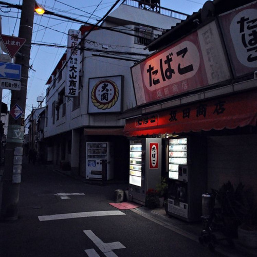 bluff2 ( cip symels )