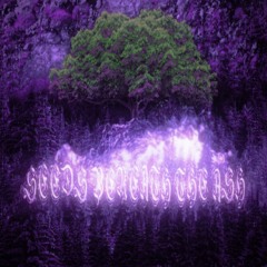 seeds beneath the ash (prod oversight)