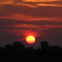 Hope