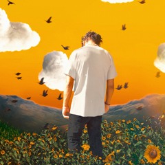 Sunflower [prod. Daniel Hartzog]