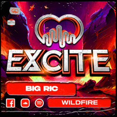 Big Ric - Wildfire (Radio Edit)