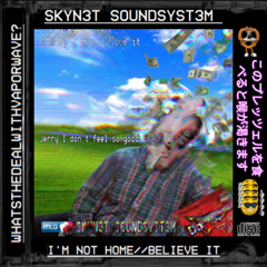 SKYN3T S0UNDSYST3M - I'm Not Home//Believe It