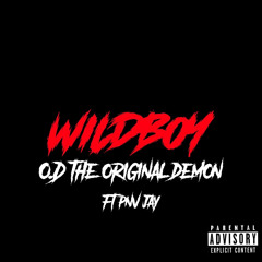Wildboy (feat. PNV Jay)
