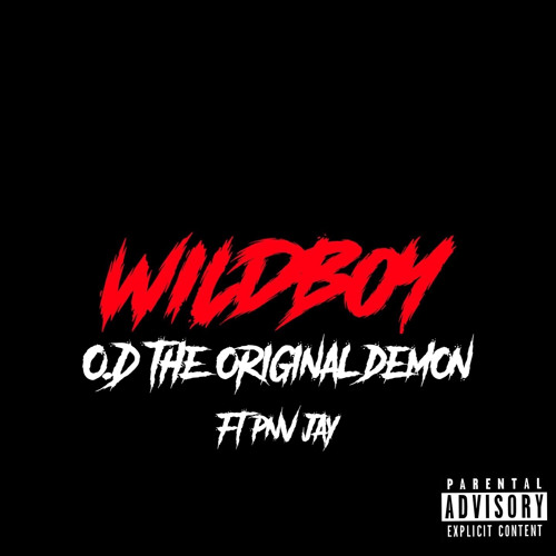 Wildboy (feat. PNV Jay)