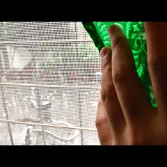 Mitra Kiirtan - After rain before thunder