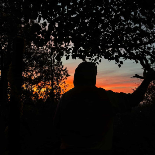 Bee On My Vibe Prt. 2 (prod. PhyzikalKillinYou)