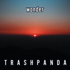 Trash Panda / TP068 / Wonder (Predawn Mix) ~ Burning Man 2023 / 2023-08-06
