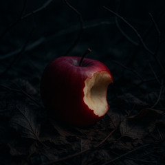 The fall Ft Kristina Akane