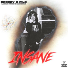 Breezy B-Insane